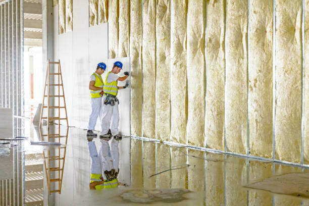 Insulation Inspection Services in Baytown, TX